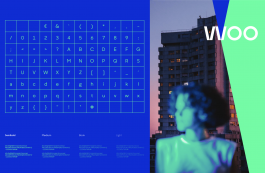 Stream and Tough Guy