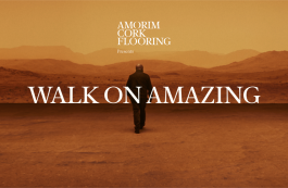 Stream and Tough Guy