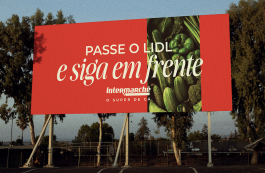 Stream and Tough Guy