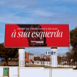 Stream and Tough Guy